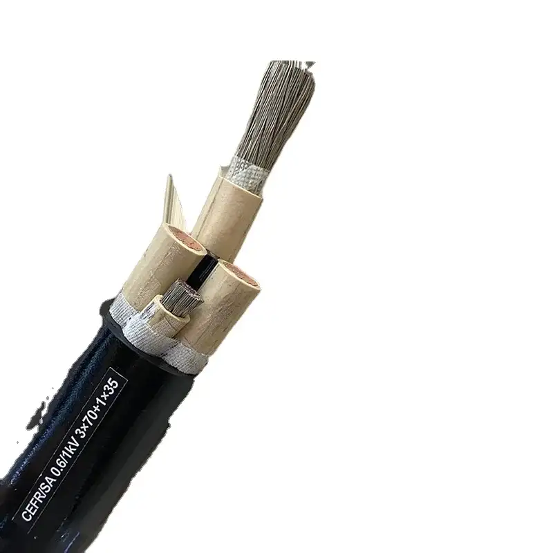 Cefr/sa Çevik T Mis Keçirici Epr İzolyasiyalı Pcp Dəniz Kabel 2-6 Özlü 0.5-400mm 1