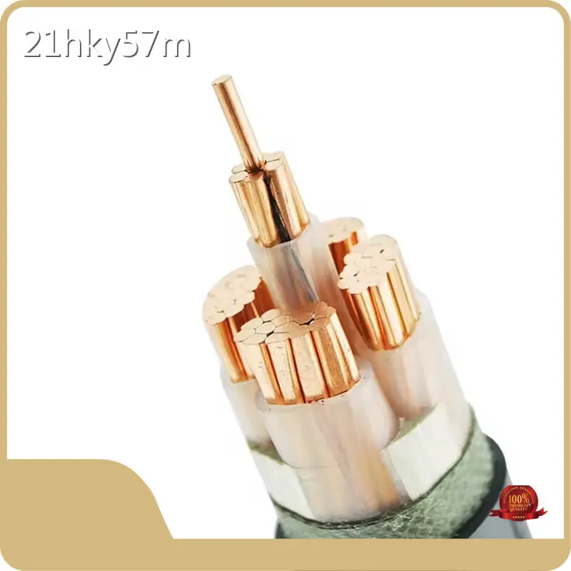شركة تصنيع كابلات Xlpe 1