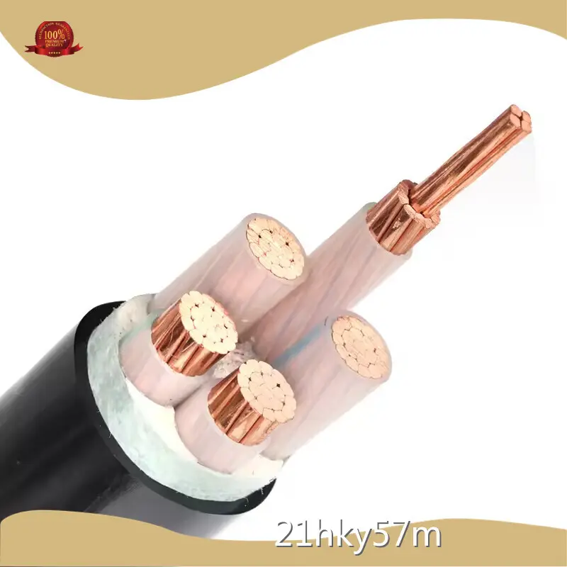 الجملة الأسلاك والكابلات المخصصة العلامة التجارية كابل جيانغنان 1