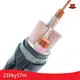 الكابلات المدرعة المرنة من شركة Jiangnan Cable 1
