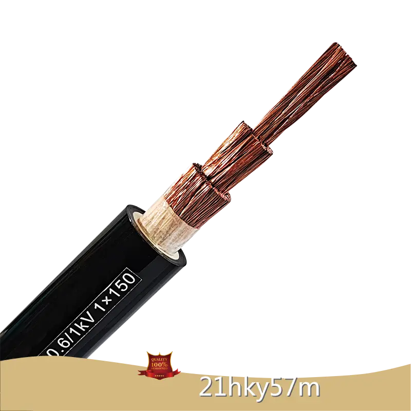 Custom Custom Power Cables Manufacturer 1