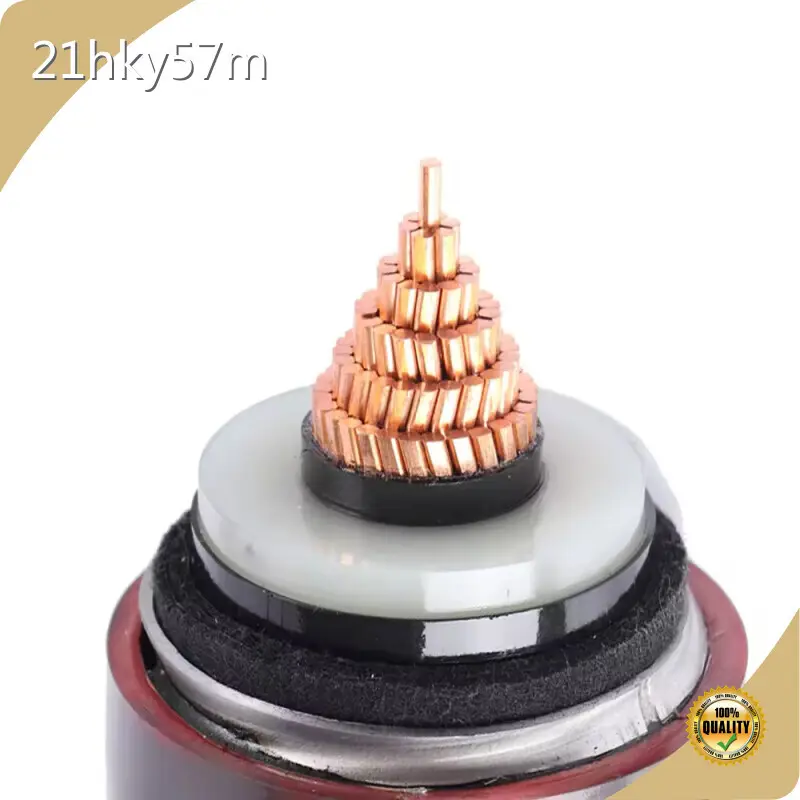 كابل Xlpe مخصص 300 مم 1