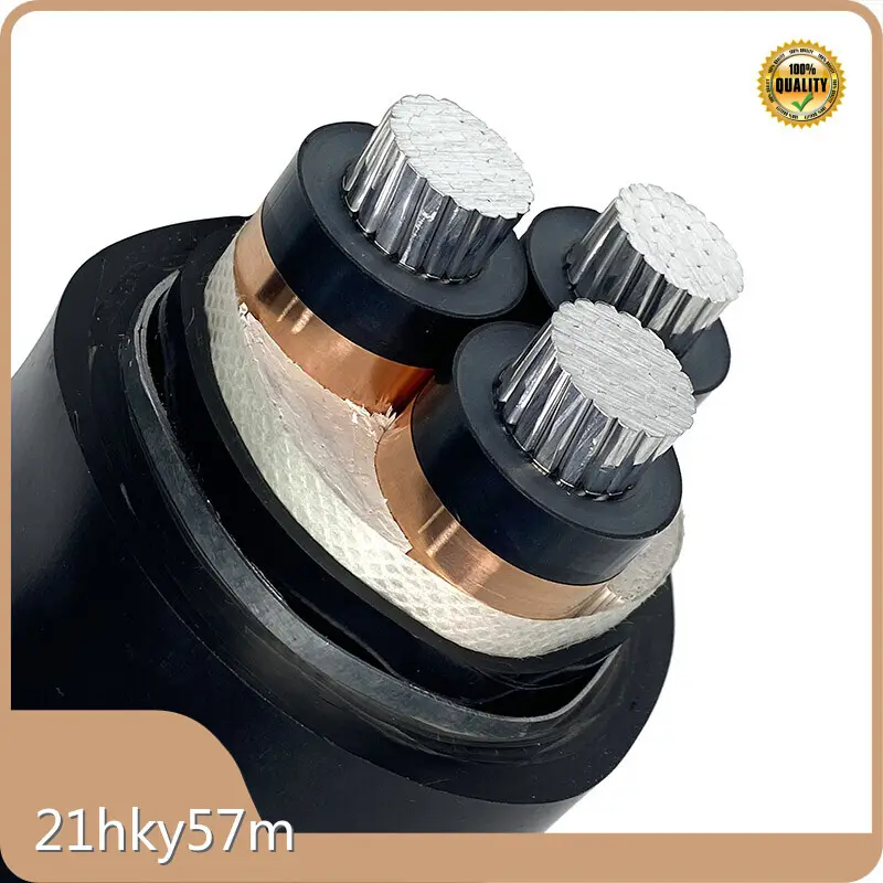 مصنع كابلات الطاقة من شركة Jiangnan Cable 1
