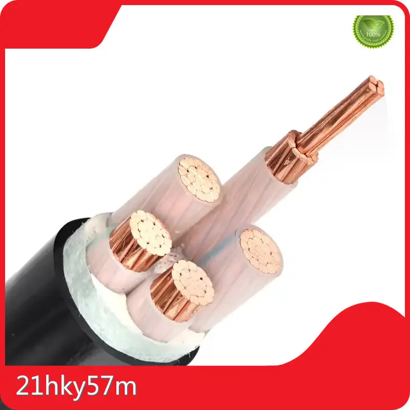 شركة تصنيع الأسلاك والكابلات 1