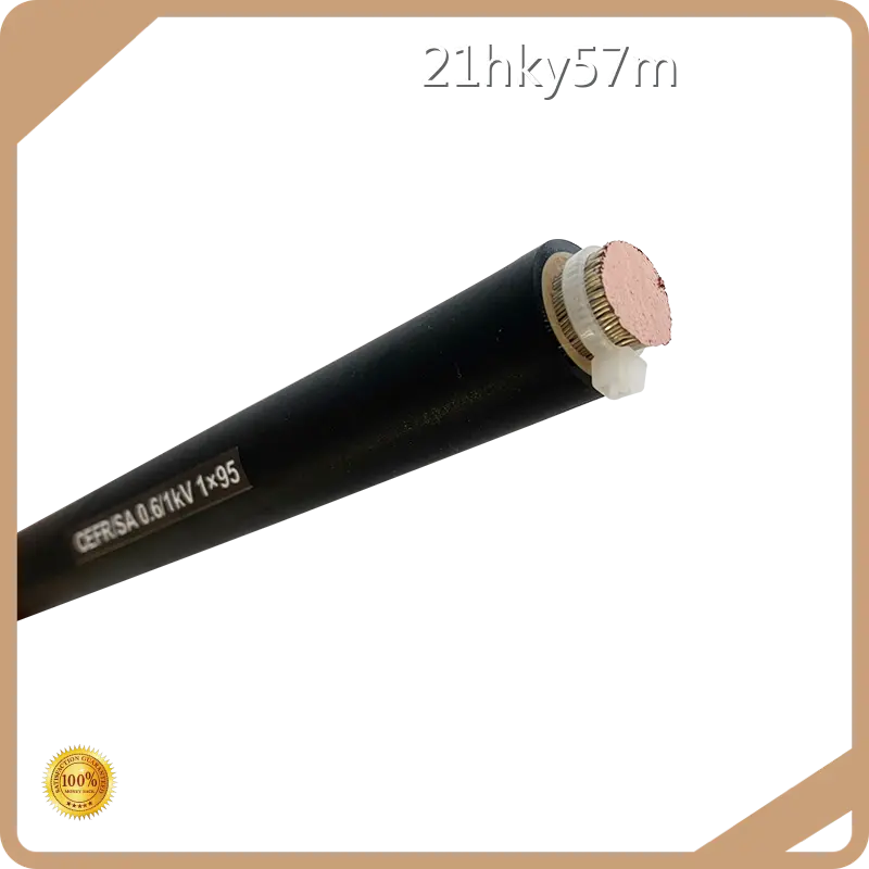 Best Electrical Wire Manufacturer 1