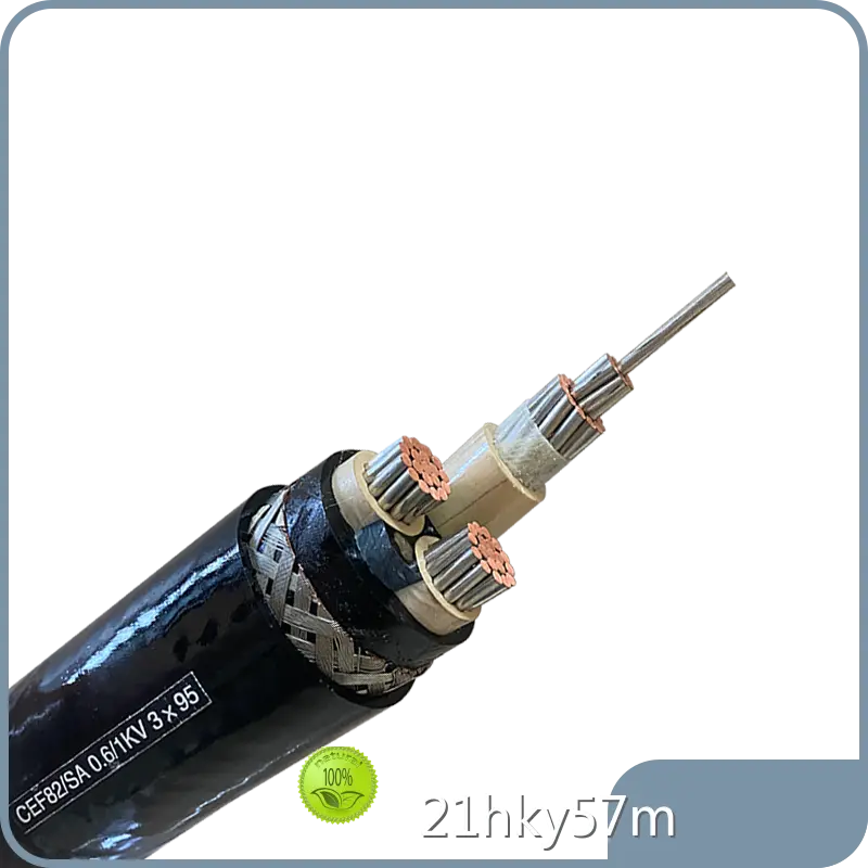 قائمة أسعار كابلات الطاقة المعزولة Xlpe الأكثر مبيعًا 1