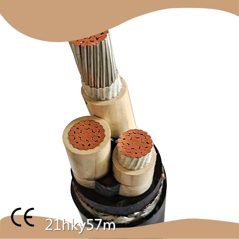 الشركة المصنعة للكابلات الضوئية 1