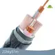 Custom Cable Supplier for Sale 1