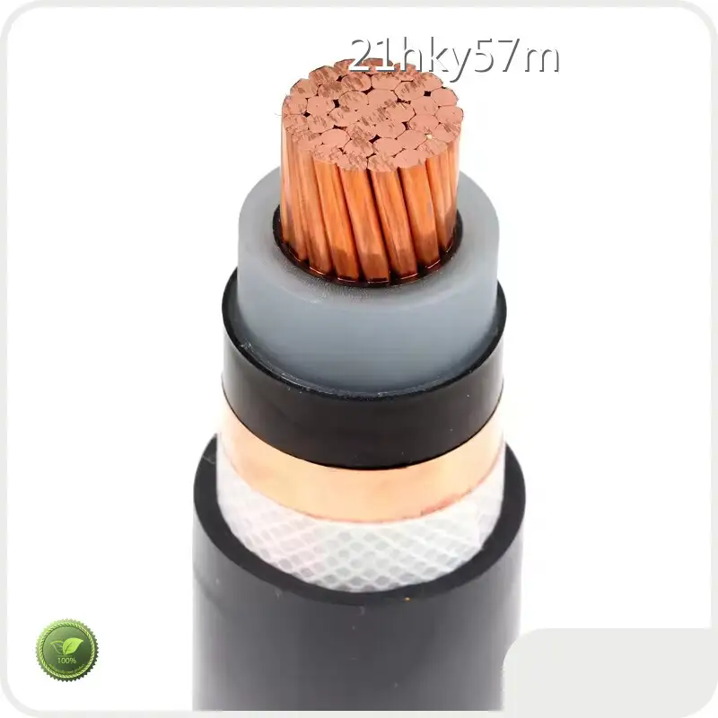 Jiangnan Cable 600v Компания по производству силовых кабелей из сшитого полиэтилена 1