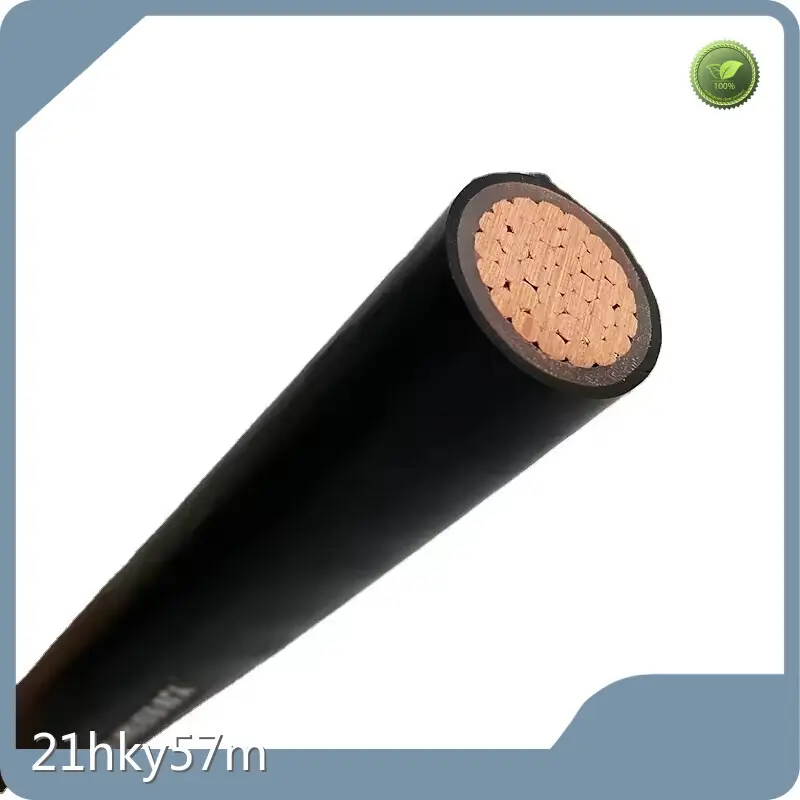 جيانغنان كابل 2 كور Xlpe كابل 2 كور Xlpe Cablesupplier 1