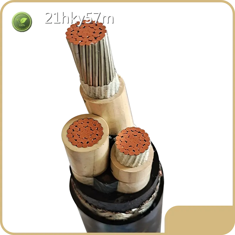 ماركات كابلات الطاقة - - كابلات جيانغنان 1