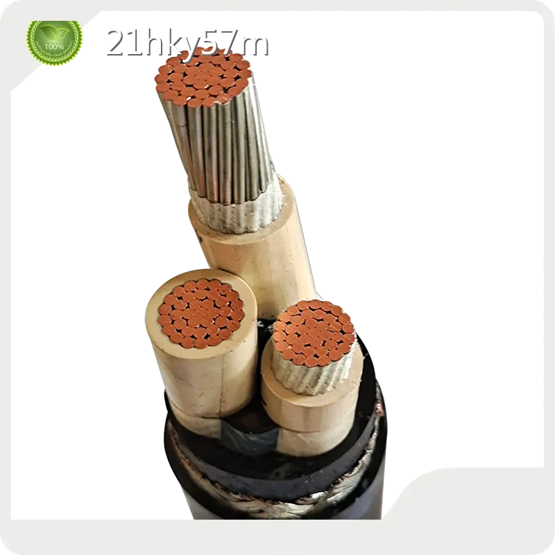 Hot Selling 3 Core Marine Cable Factory 1