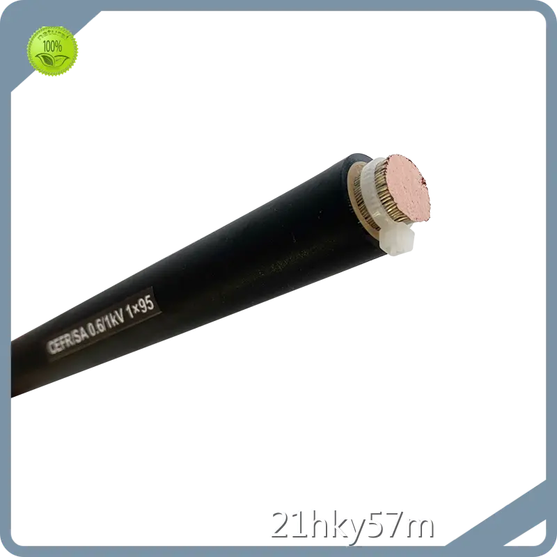 الجملة الأسلاك والكابلات من شركة Jiangnan Cable-1 1