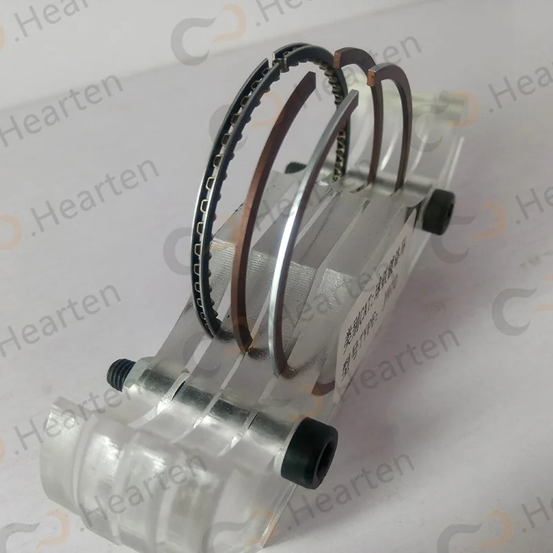 Custom Chromium piston ring 1