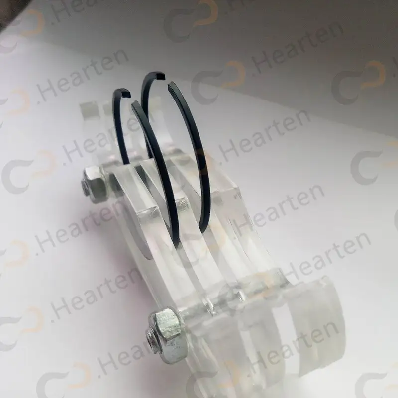 HEARTEN Array image32