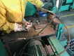 CD70 Motorcycle engine piston ring1 7
