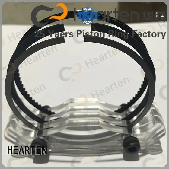 large ring automotive piston ring sealer HEARTEN 1