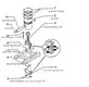 Auto  Piston  Ring automotive automobile Warranty HEARTEN automobile
 engine 2
