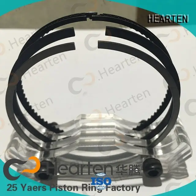 nitriding pvd HEARTEN piston ring sealer 1