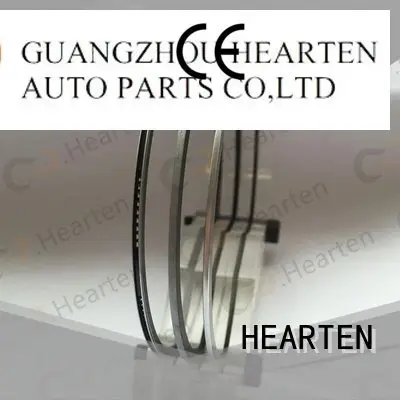 nitriding large rings HEARTEN piston ring sealer 1