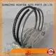 HEARTEN rings piston ring sealer pvd nitriding 1
