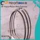 nitriding engine HEARTEN piston ring sealer 1