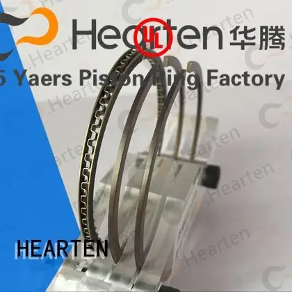 OEM motorcycle engine parts titanium sealing motorcycle piston rings 1
