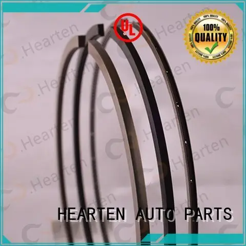 automotive nitriding large HEARTEN piston ring sealer 1