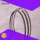 Custom chromium engine piston ring sealer 1