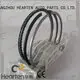 Custom piston ring sealer piston engine 1
