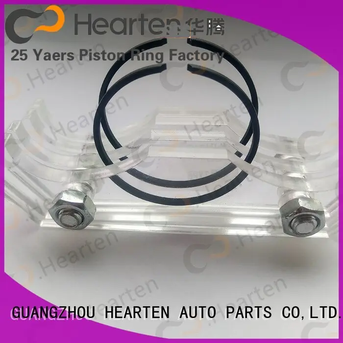 Custom piston Garden Machine Piston  Ring chain HEARTEN 1