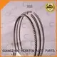 automotive engine piston ring sealer diesel HEARTEN 1