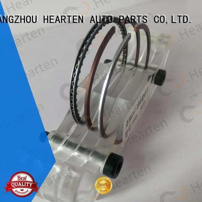 Quality HEARTEN Brand piston ring sealer automobile diesel 1