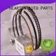 titanium motorcycle piston rings manufacturer for auto engine parts 1