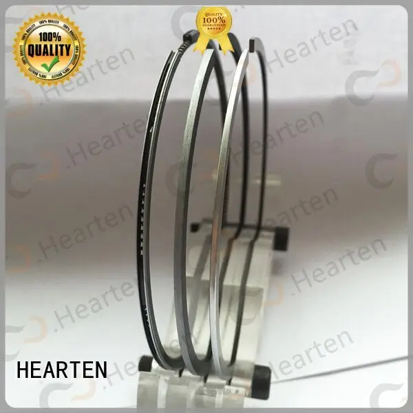 HEARTEN real piston ring sealer supplier for car 1