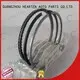 HEARTEN strong sealing motorcycle pistons and rings supplier for motorcycle 1