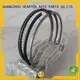 cost-effective cheap piston rings pvd series for honda series 1