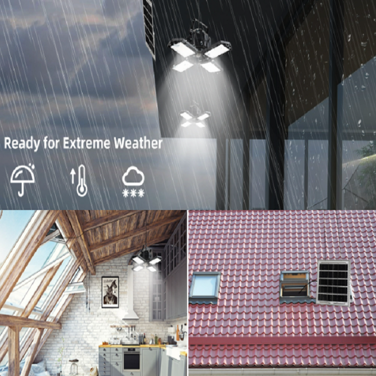 solar shed light-2.png