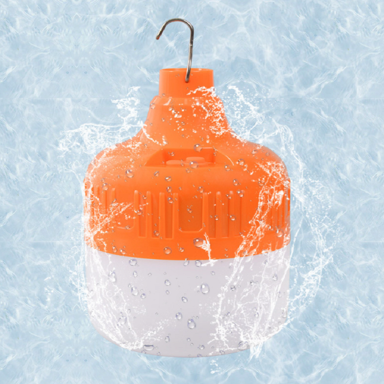 LED emergency bulb-12.png