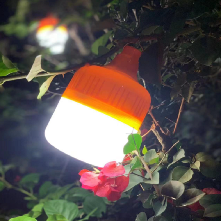 LED emergency bulb-15.png