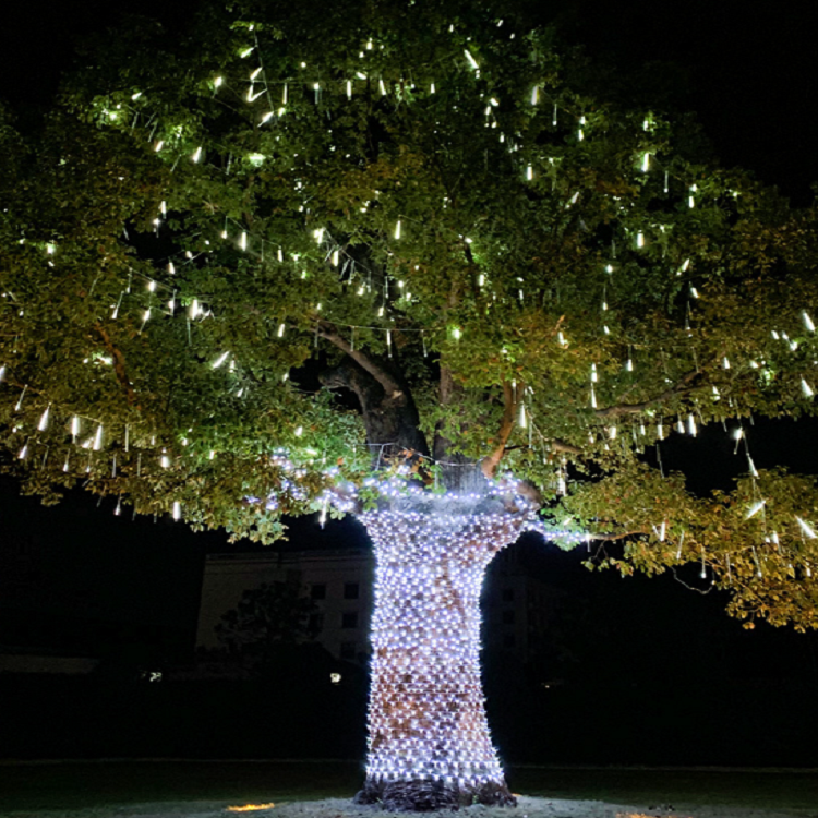 LED meteor lights-6.png