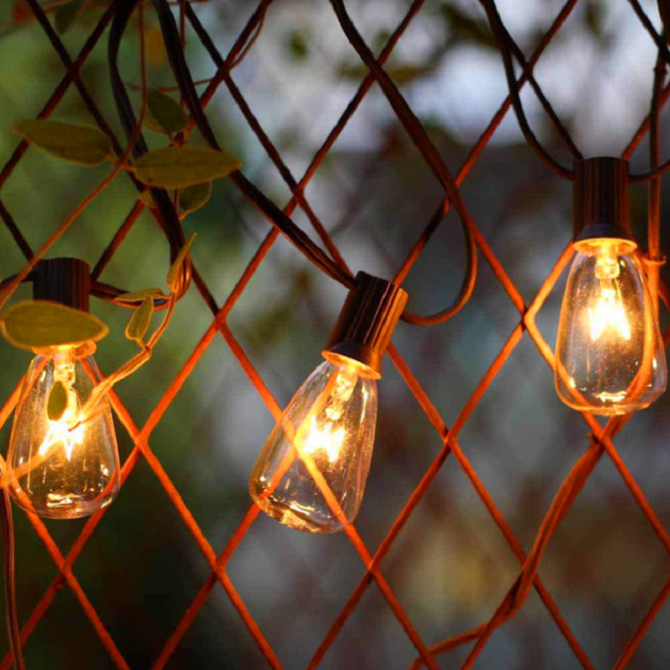 ST38 string light-12.png