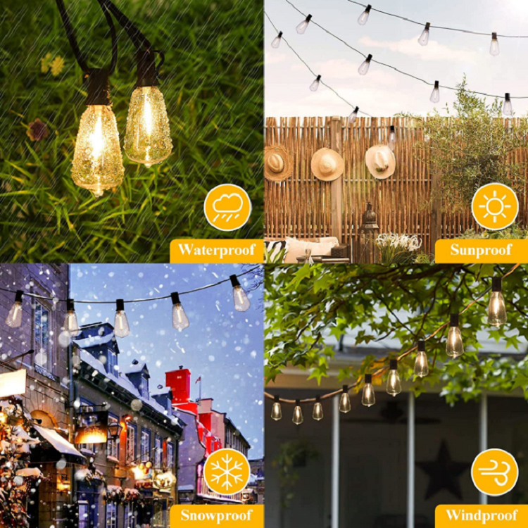 ST38 string light-22.png