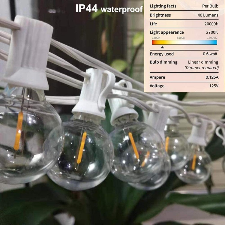 G40 string light-1.jpg