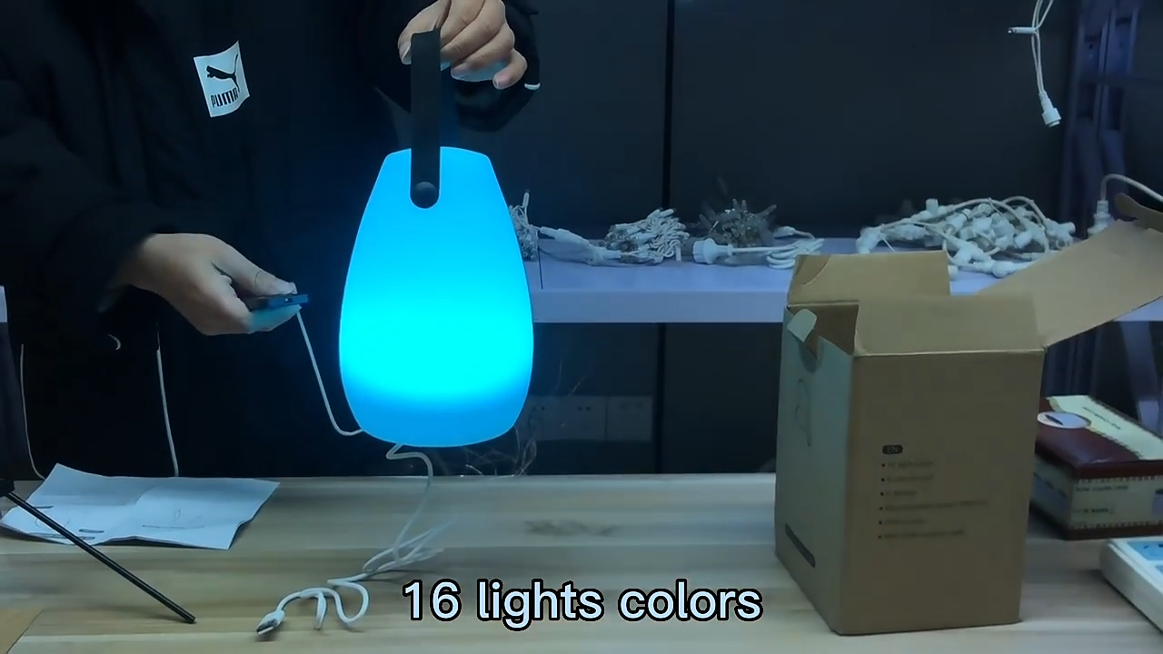 WENDADECO Desain Modern Outdoor Portable Camping Light njero ruangan LED Desk Lamp Decorating USB Ngisi daya Night Lamp 1