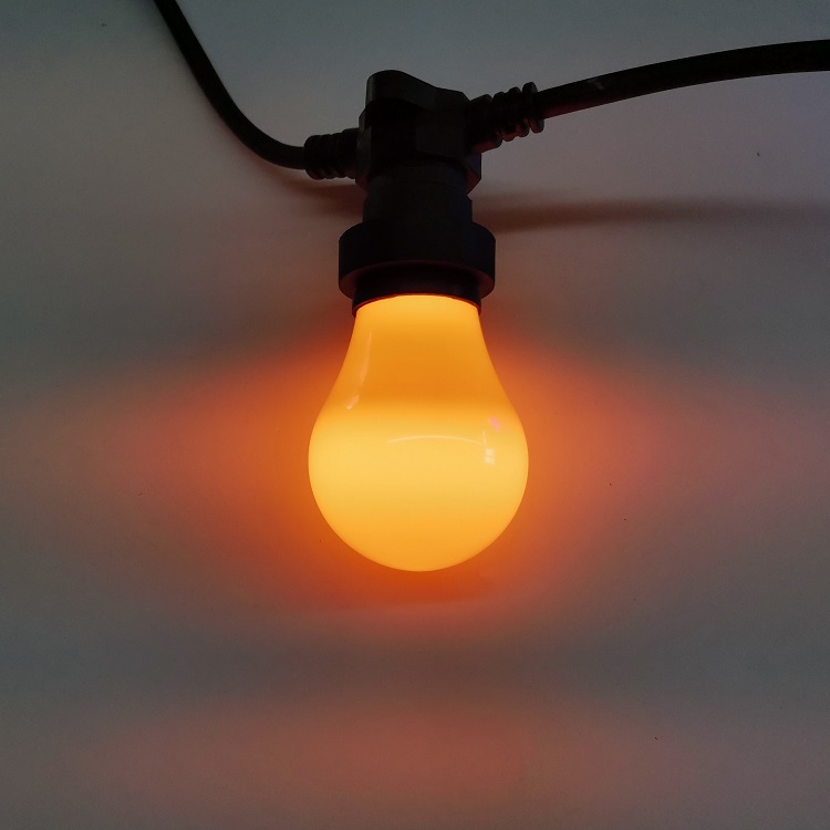 A60 bulb(5)