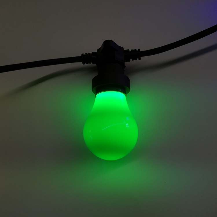 A60 bulb(4)
