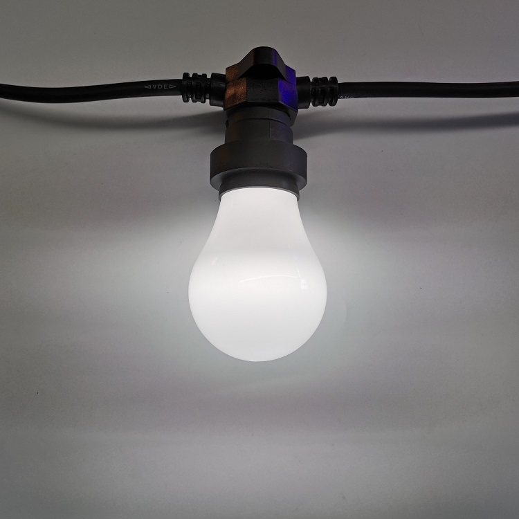 A60 bulb(6)