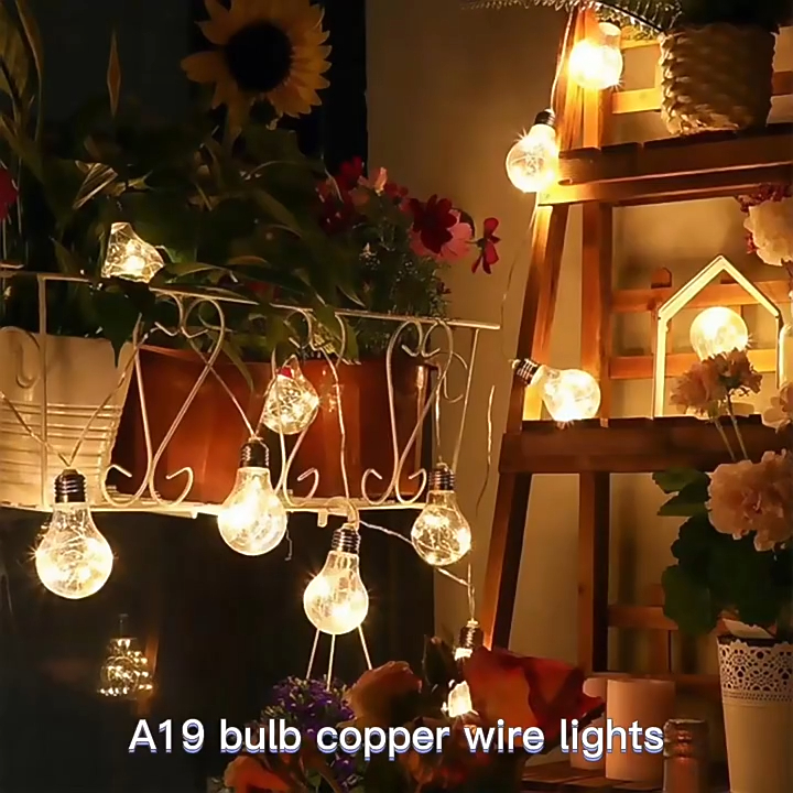 Ghirlande luminoase de Crăciun în aer liber 10 becuri alb cald A19 led sârmă de cupru șir lumini Wenda Deco 1