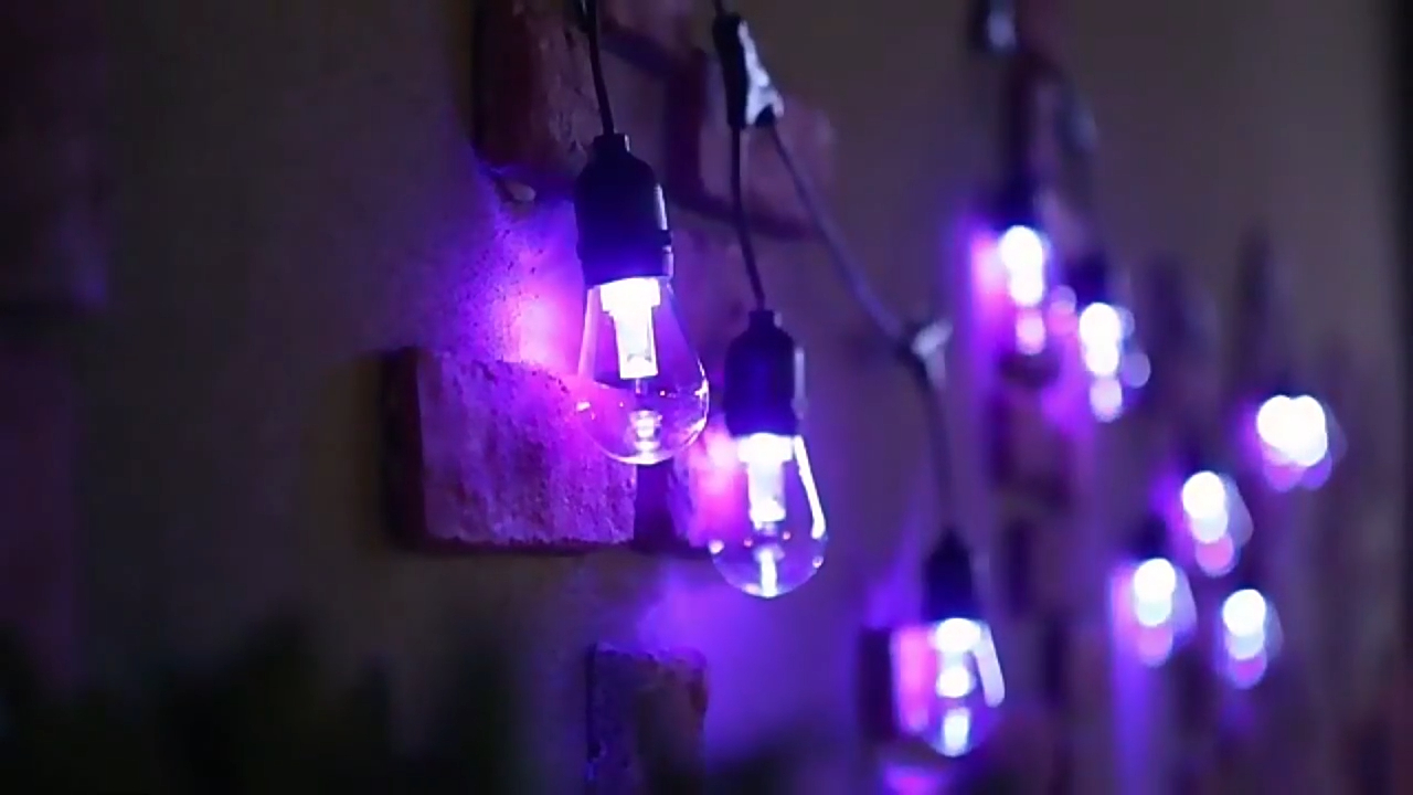 جهاز تحكم عن بعد 48 قدمًا و 24 مقبسًا مع 24 قطعة متغيرة الألوان S14 LED أضواء سلسلة عطلة الفناء | ويندا ديكو 1